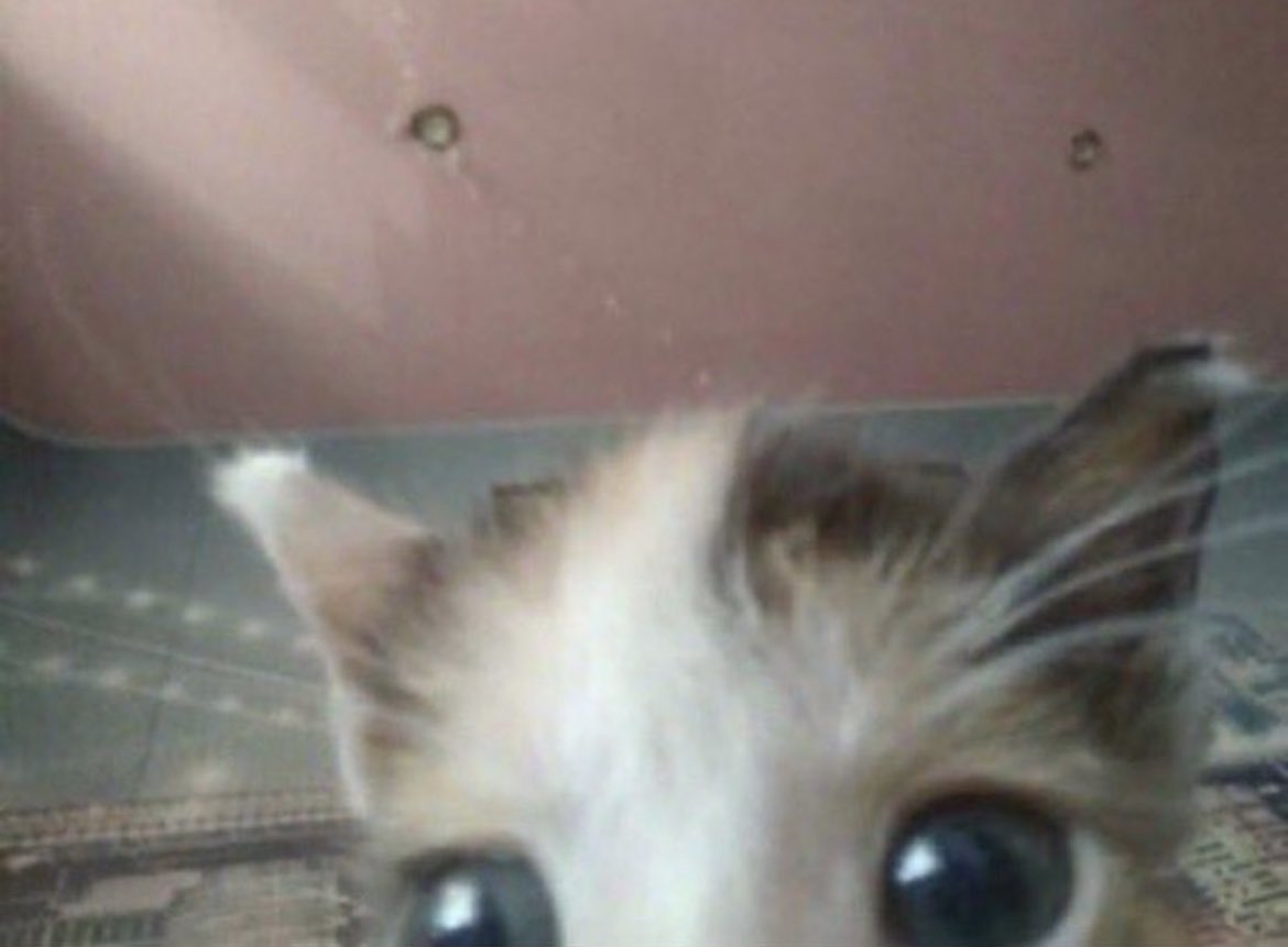 xnoems's tweet image. i think i’m ready to come back from my lil streaming hiatus