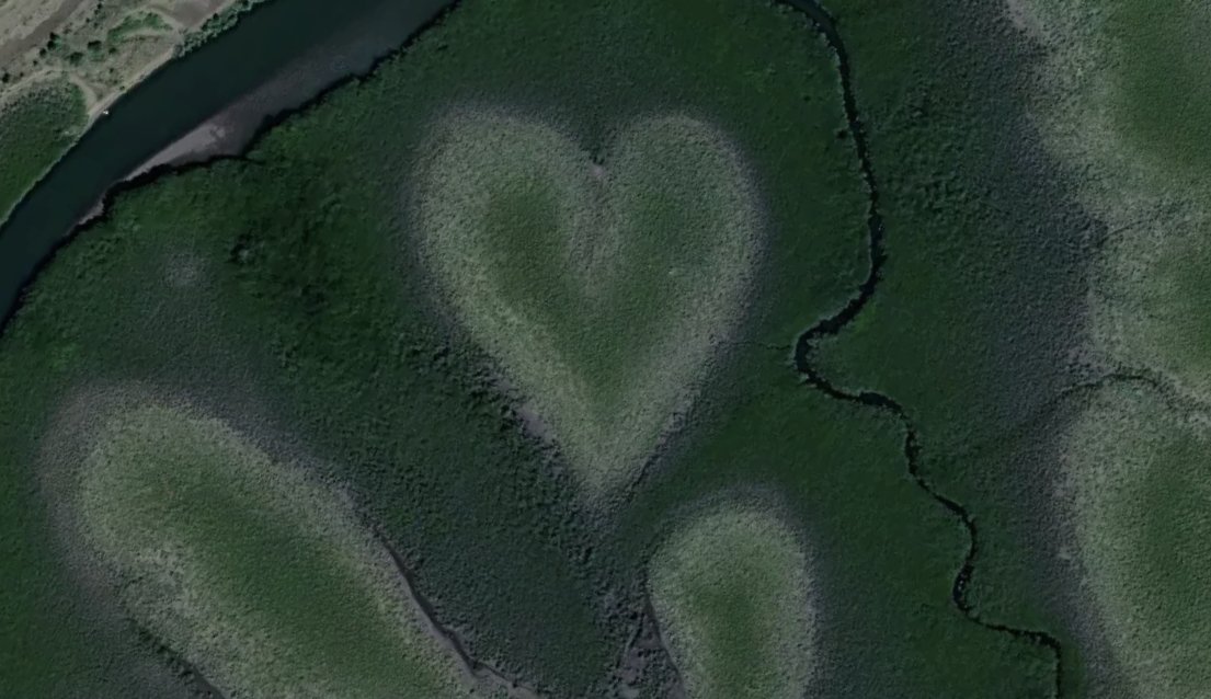 Pratik Yadav tweet media