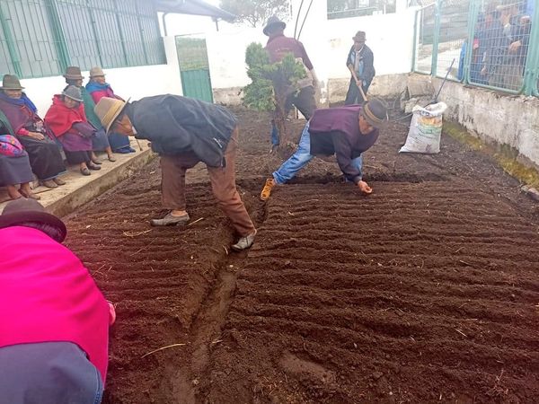 #Chimborazo | ¡Impulsando una alimentación saludable! 🌱 

Jubilados del <a href="/IESS_SSC/">Seguro Social Campesino del IESS.</a> del dispensario Nautig, junto al personal de <a href="/AgriculturaEc/">Agricultura, Ganadería y Pesca Ecuador 🇪🇨</a>, sembraron 7 variedades de hortalizas para promover los Huertos Familiares. 🌾