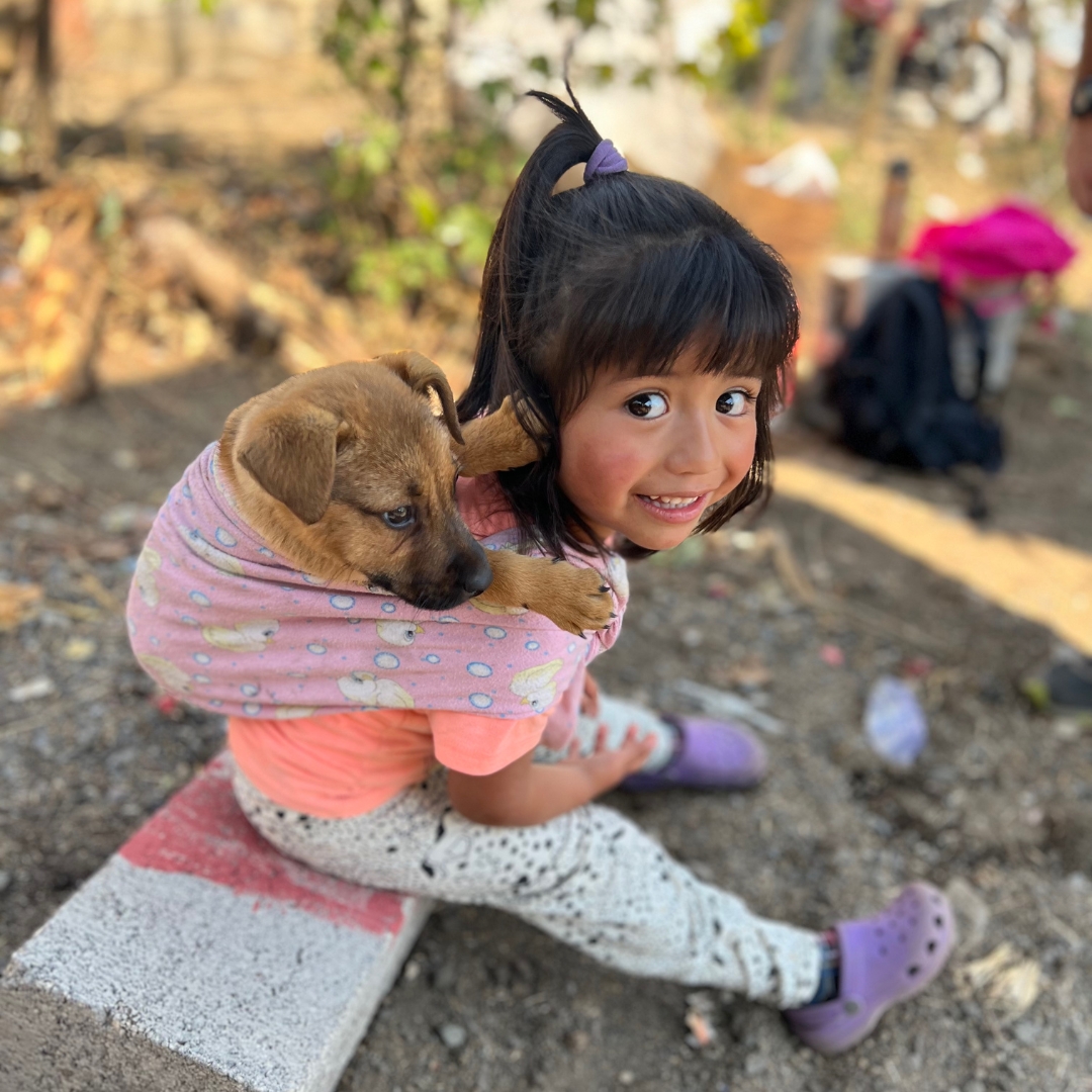 MisDisTrips's tweet image. When on your mission trip, amidst the hustle and bustle of serving others, don’t forget to pause and cherish the little moments. ✋💖  

#MissionTrip #MissionTrips #Christian #Leadership #Simplicity #Joy #Internship