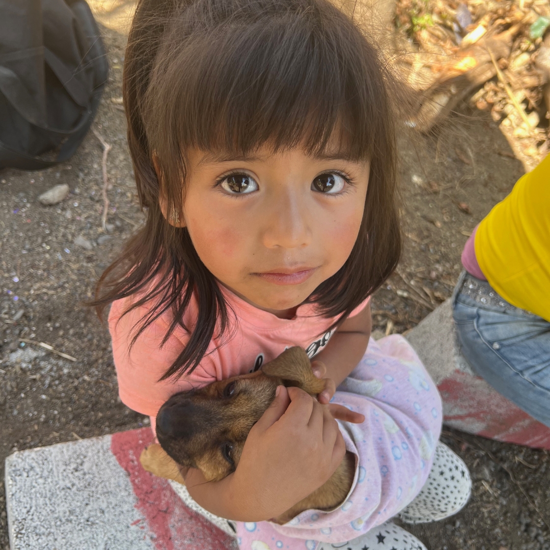 MisDisTrips's tweet image. When on your mission trip, amidst the hustle and bustle of serving others, don’t forget to pause and cherish the little moments. ✋💖  

#MissionTrip #MissionTrips #Christian #Leadership #Simplicity #Joy #Internship