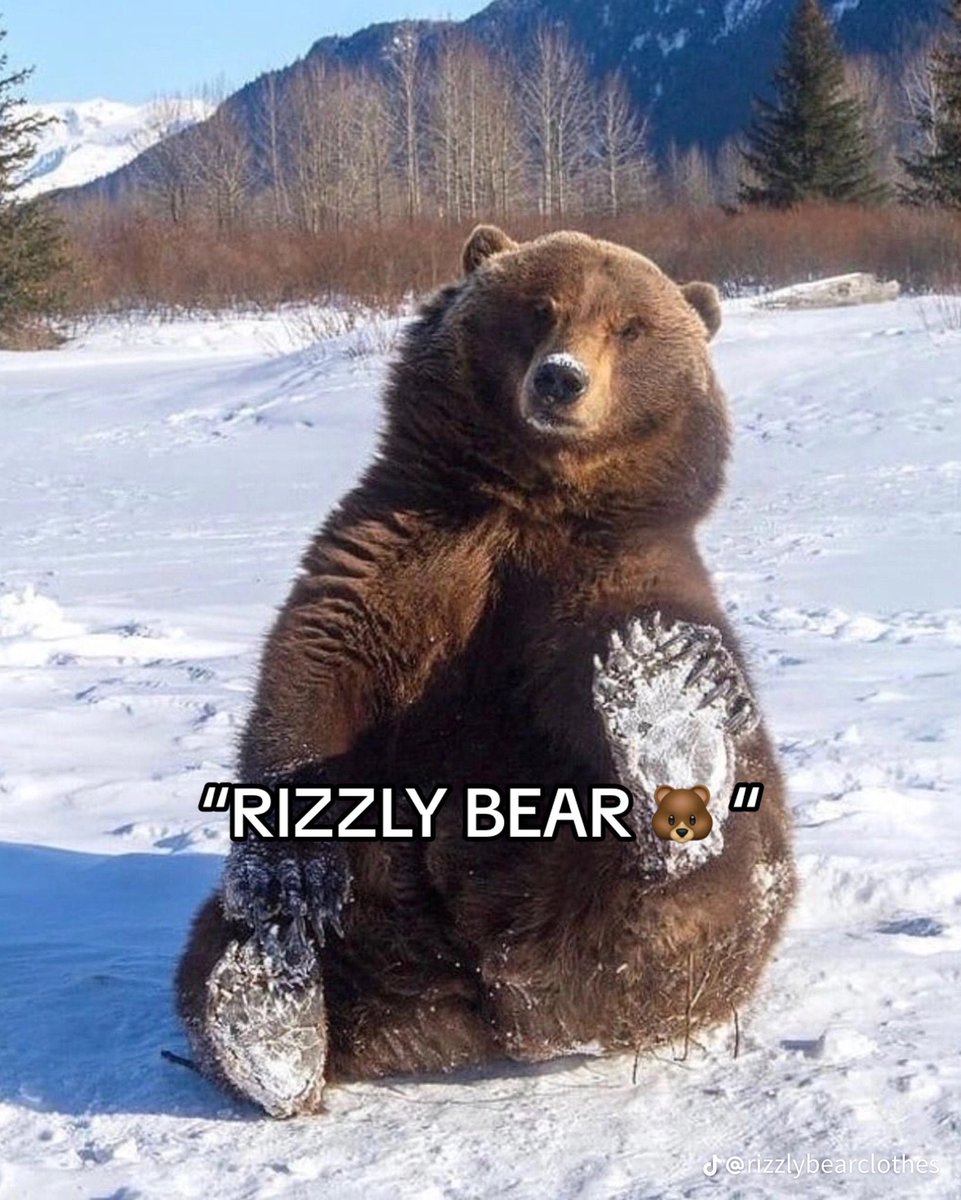 🐻 Bear 🍃 tweet media