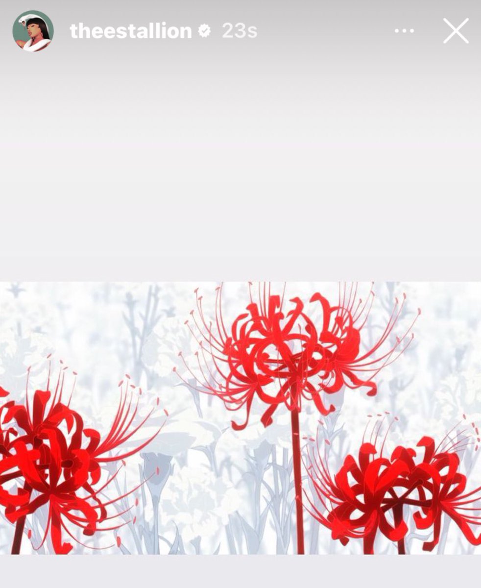 sadhotgirI's tweet photo. she became the death flower omg wow https://t.co/Qt8qF2TRDu