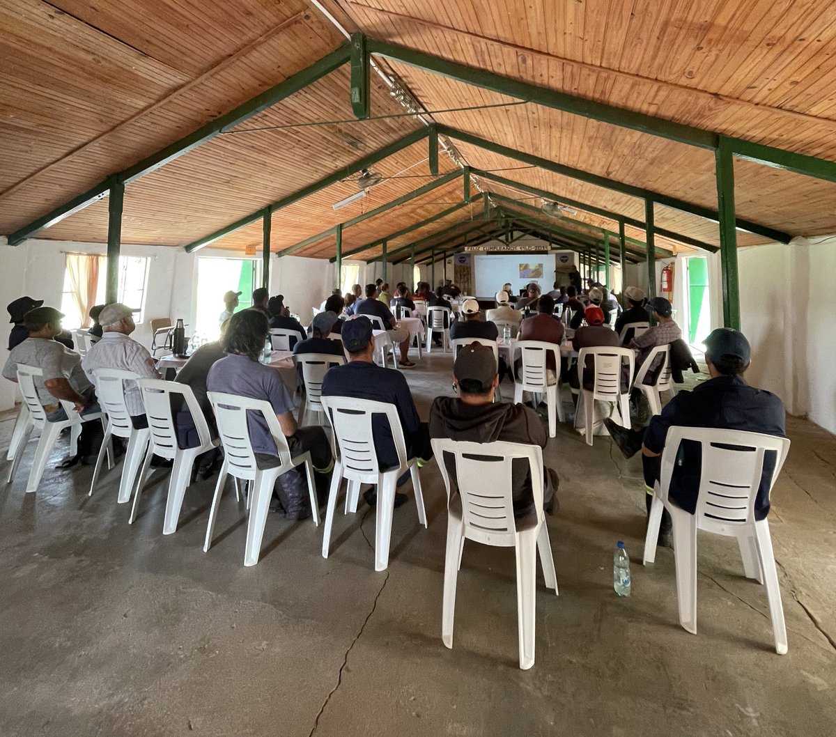 Emilia Pintos Elso tweet media