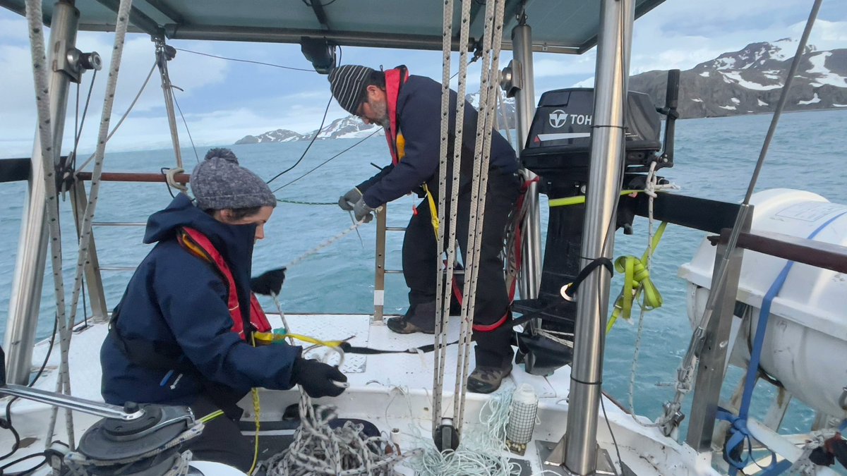 polar2e's tweet photo. DETOXANTAR & SAILBIO projects worked in Spanish Cove & Johnsons Bay to capture amphipods & limpets during low tide, & SAILBIO project, conducted a trawl to collect zooplankton, microplastics & environmental parameters. #coastantar #propolar #polar2e #ulisboa #FCT #antártida #igot https://t.co/dsYWDniK6r