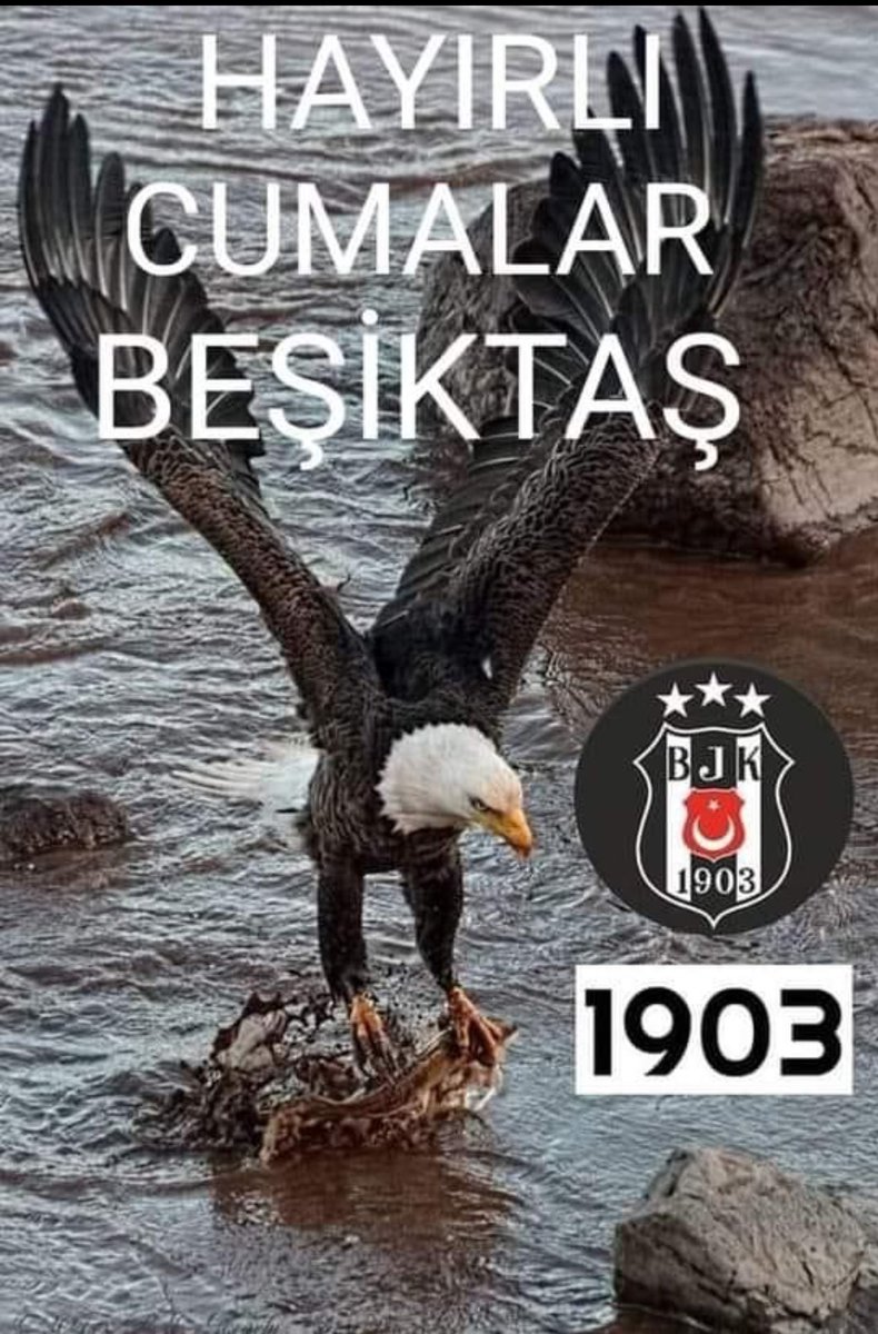 Murat Çellek (@muratcelle24143) on Twitter photo 