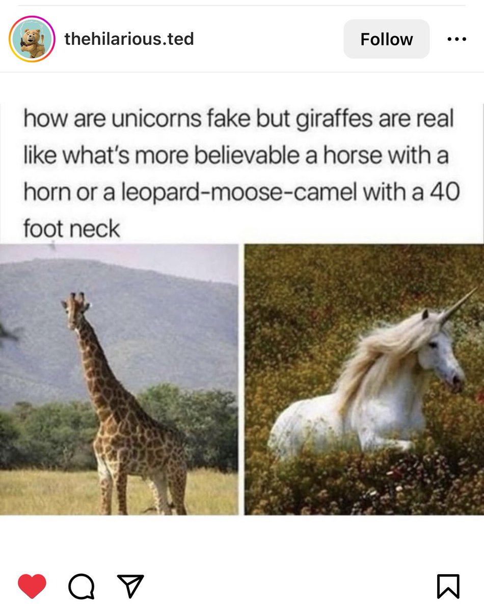jtlacktrup's tweet photo. See this is what I mean in regards to my last post about giraffes. Like huhhh https://t.co/mhLfhE50uc