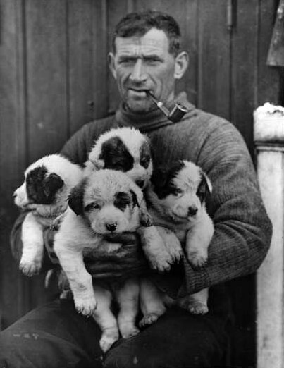 #OTD 1877 Thomas Crean, an Irish seaman & Antarctic explorer was born. He took part in three Antarctic expeditions during the Heroic Era, and is best known for his key role in the survival of the crew of the 'Endurance' in Shackleton's Imperial Trans-Antarctic Expedition 1914-17