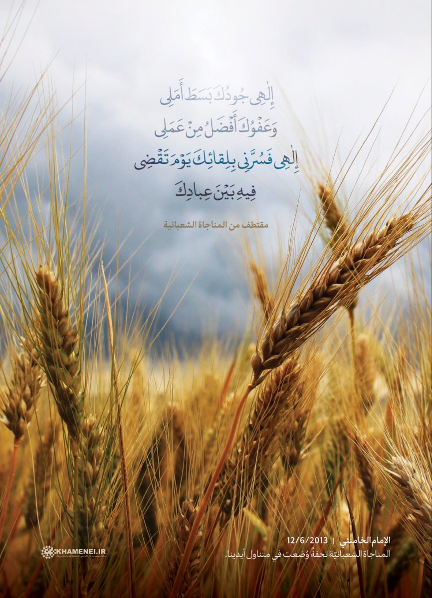 🔻علي⭕️ (@aliakbarhajj) / X