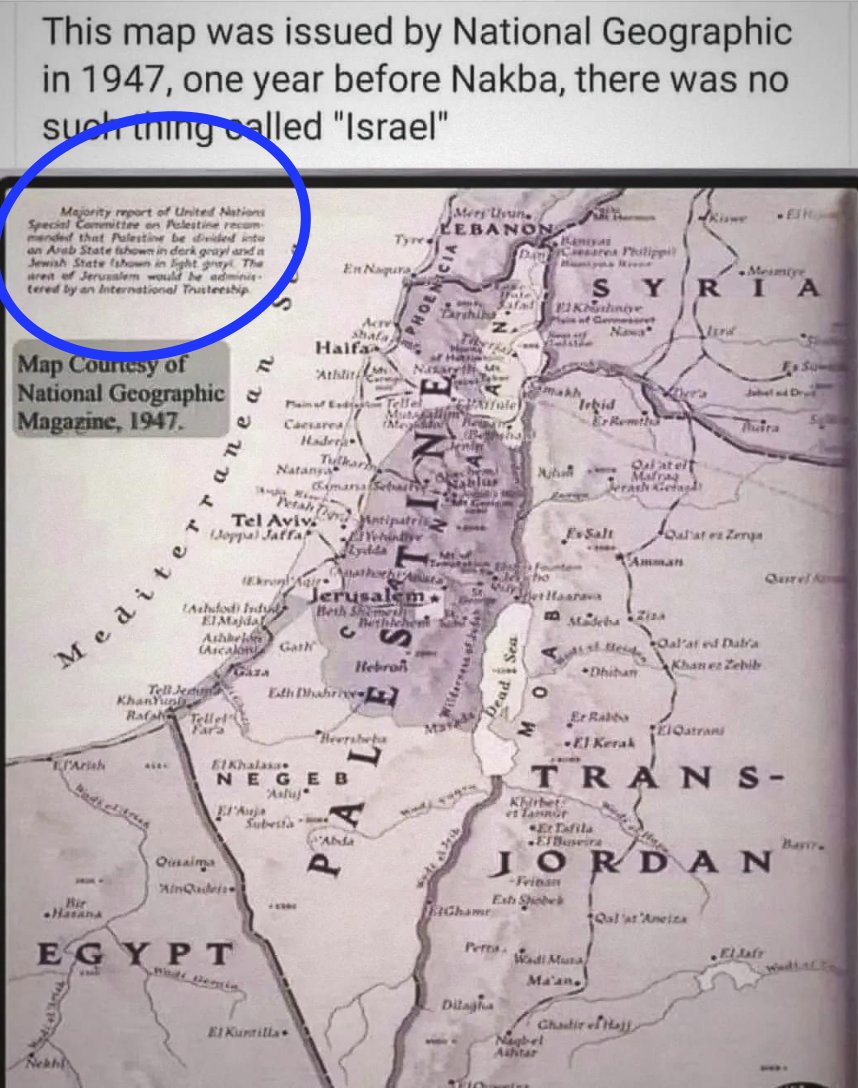 lavinia_colzani's tweet image. Also note how the caption of the original map itself actually says, that the two perspective states are represented already on the map (in different shades of grey, or sepia ok). The map itself kind of debunks their argument, but maybe they aren&apos;t watching the material before…