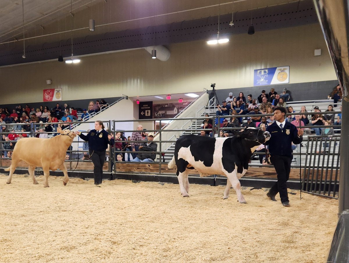 Mayde Creek FFA tweet media