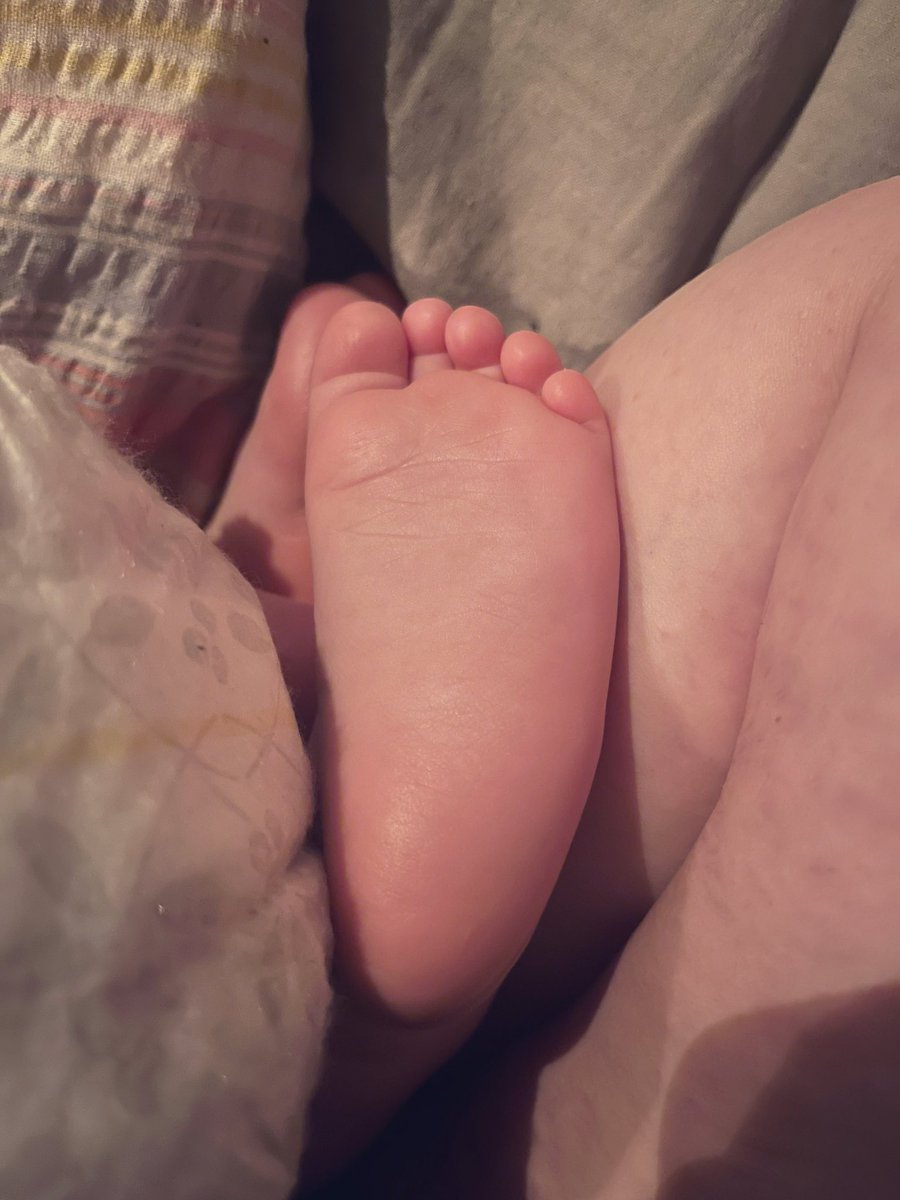 connie m. 👻 tweet media