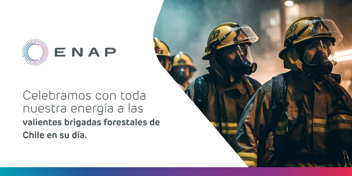 Enap_Informa's tweet image. Homenajeamos a los héroes y heroínas de nuestros bosques, quienes día a día arriesgan su vida para preservar nuestra naturaleza y proteger a las comunidades.En esta temporada de incendios forestales, su labor es aún más crucial.

¡Feliz Día de los #BrigadistasForestales!

#ENAP