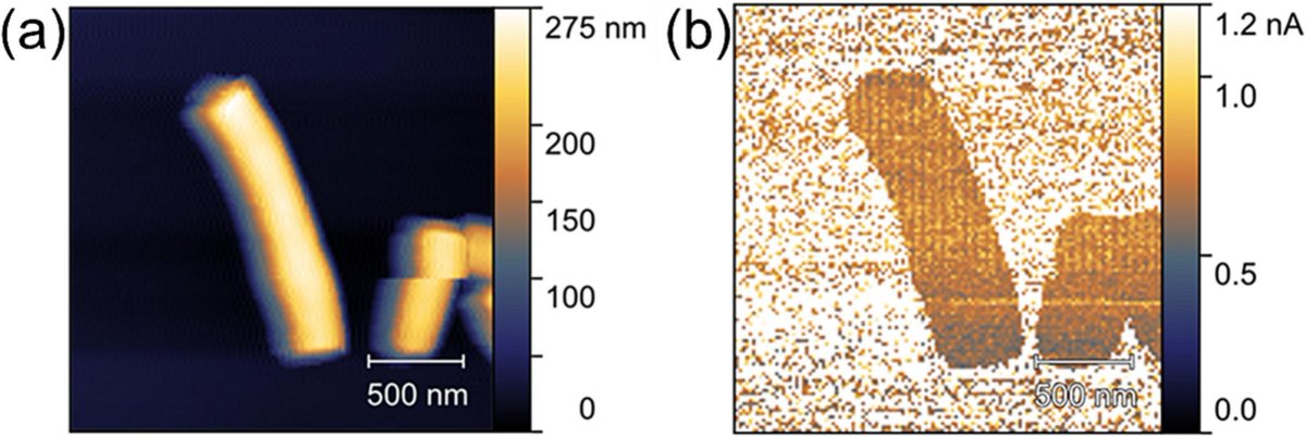 Pascal R. tweet media