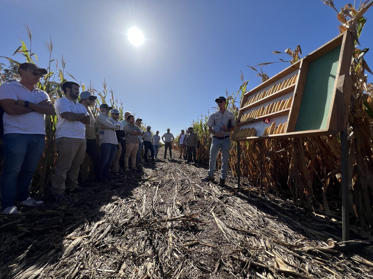 Precision Planting Argentina tweet media
