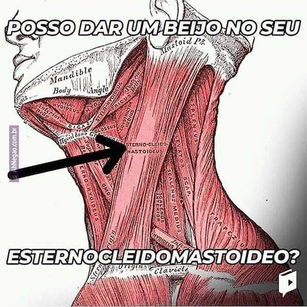 Memes para marcar ele(a) (@memeparaoarroba) on Twitter photo 