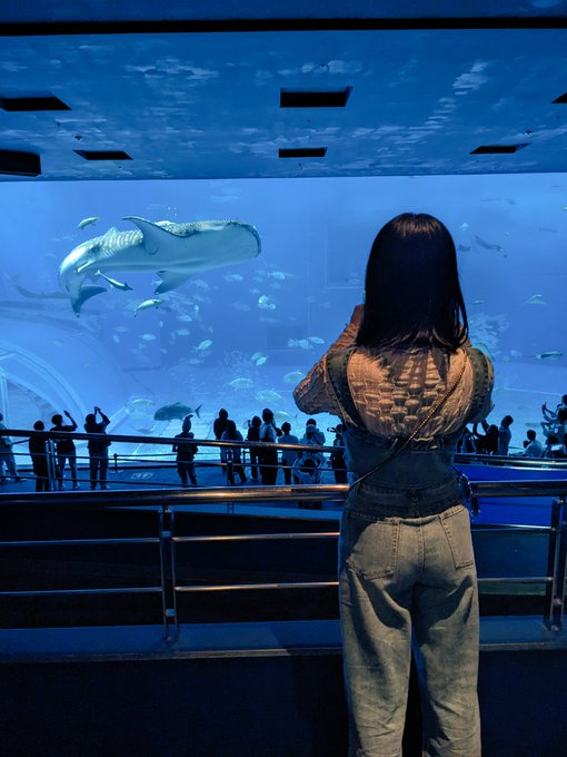 Twitterのコスプレ画像2