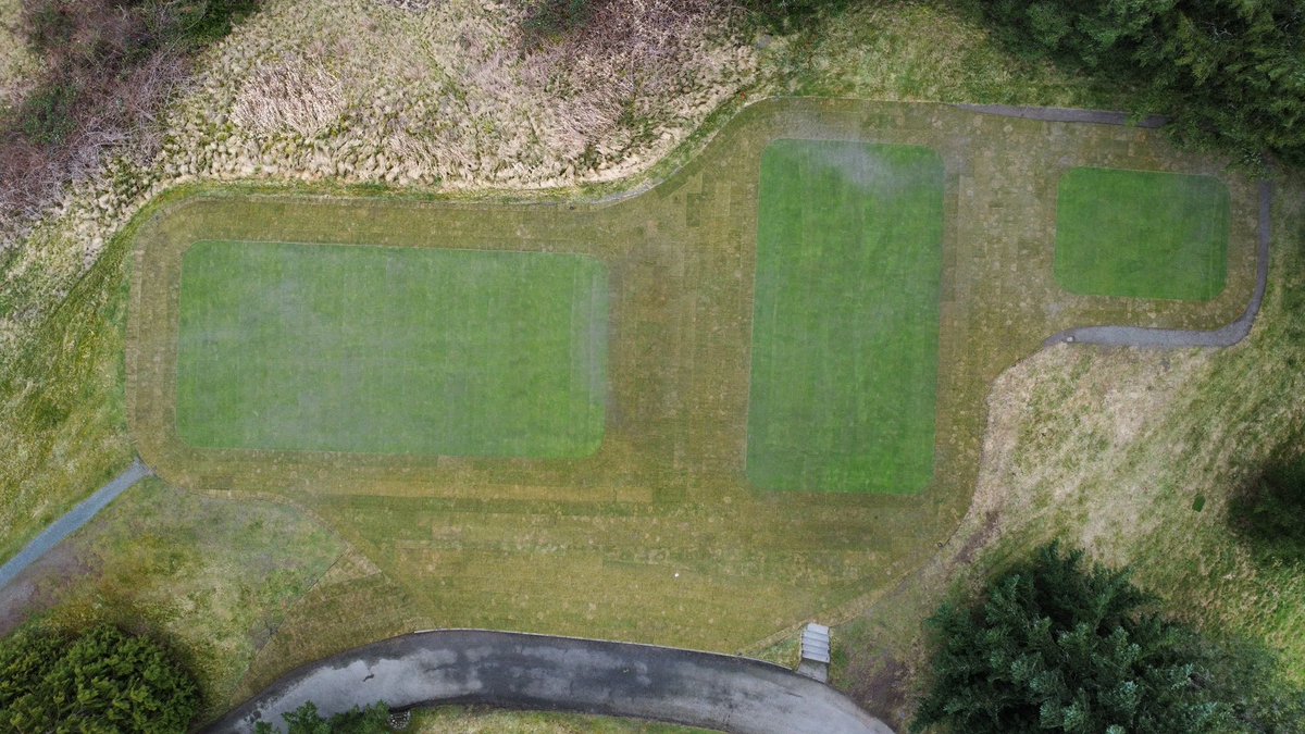 Sean Reehoorn tweet media