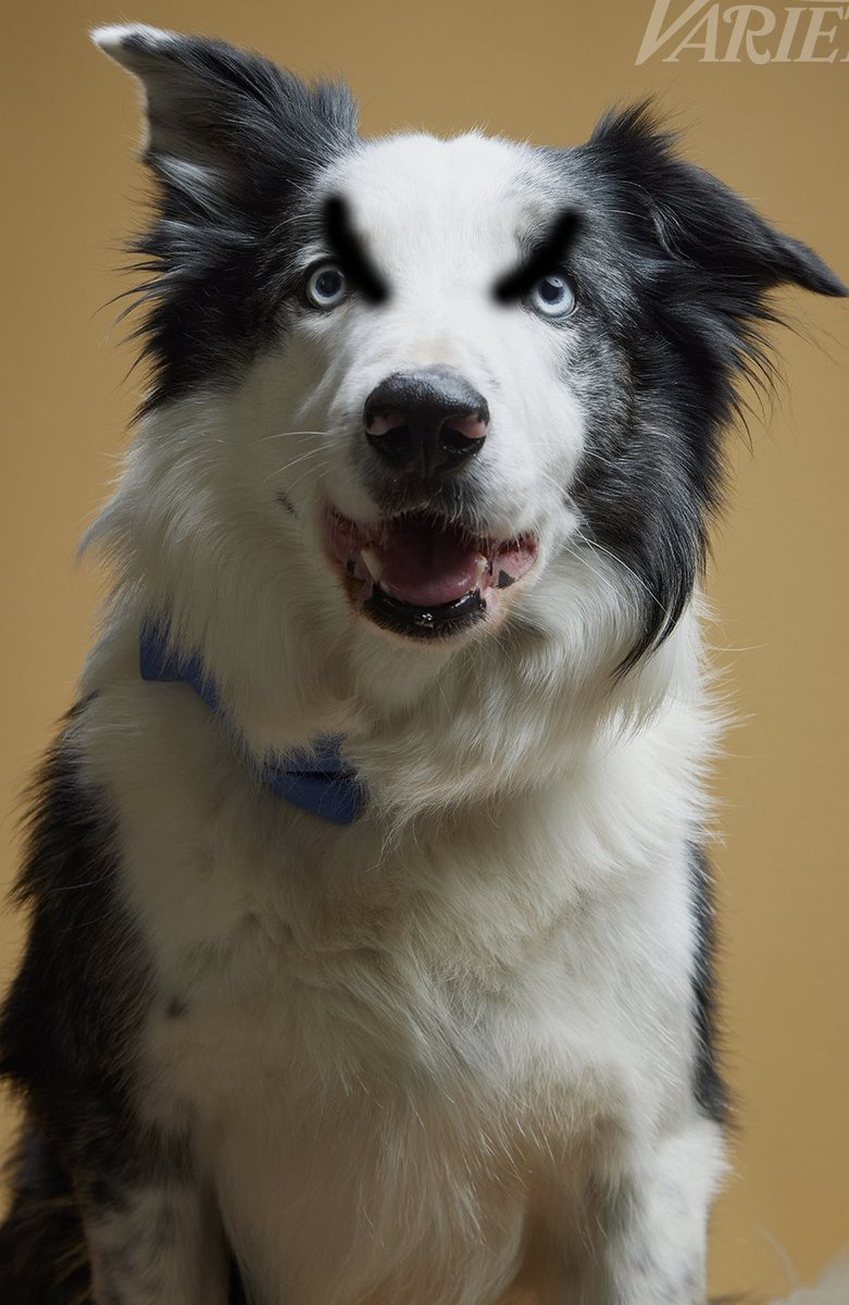 mavericksmovies's tweet image. &quot;She didn&apos;t push him out the window...I did&quot;