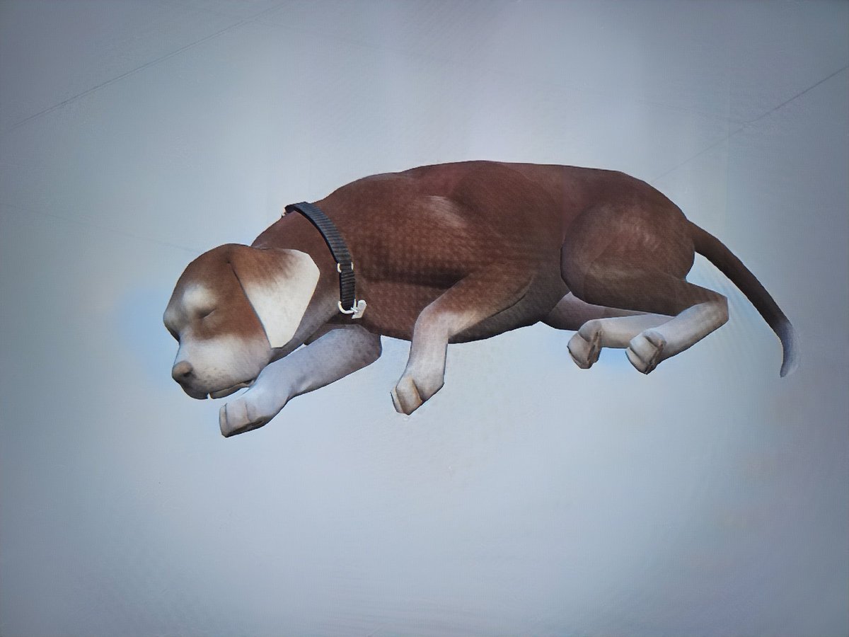 Benquisha20's tweet photo. It was a sad day today. Our pup, Bear crossed the rainbow ๐
๐พ RIP Bear Sigworth
@TheSims
#thesims #simstories #thesims4 #sims4legacy #sims4stories #sims4growingtogether #FamilyLegacy https://t.co/UTueT6M9s6