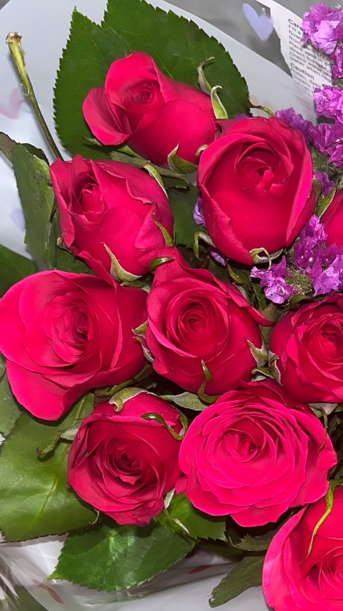 molliemacks's tweet photo. Princess Treatment ONLY 🌹 https://t.co/phse3JX0cX