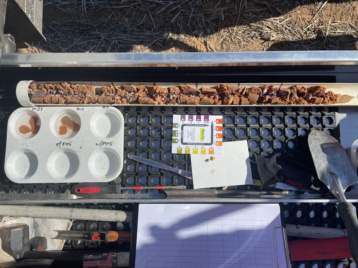 Pat Conlan tweet media