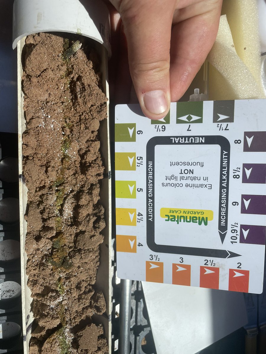 Pat Conlan tweet media