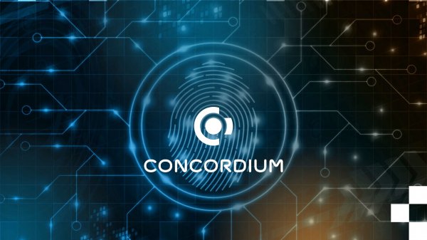 Nibirucrypto's tweet photo. @coingecko My top crypto pick has to be $CCD. I made a strategic move early on, recognizing its potential for significant growth. The project's fundamentals and recent developments make it a standout choice.
@concordium #Bullrun2024 #100xGems https://t.co/Df6NY0WXy6