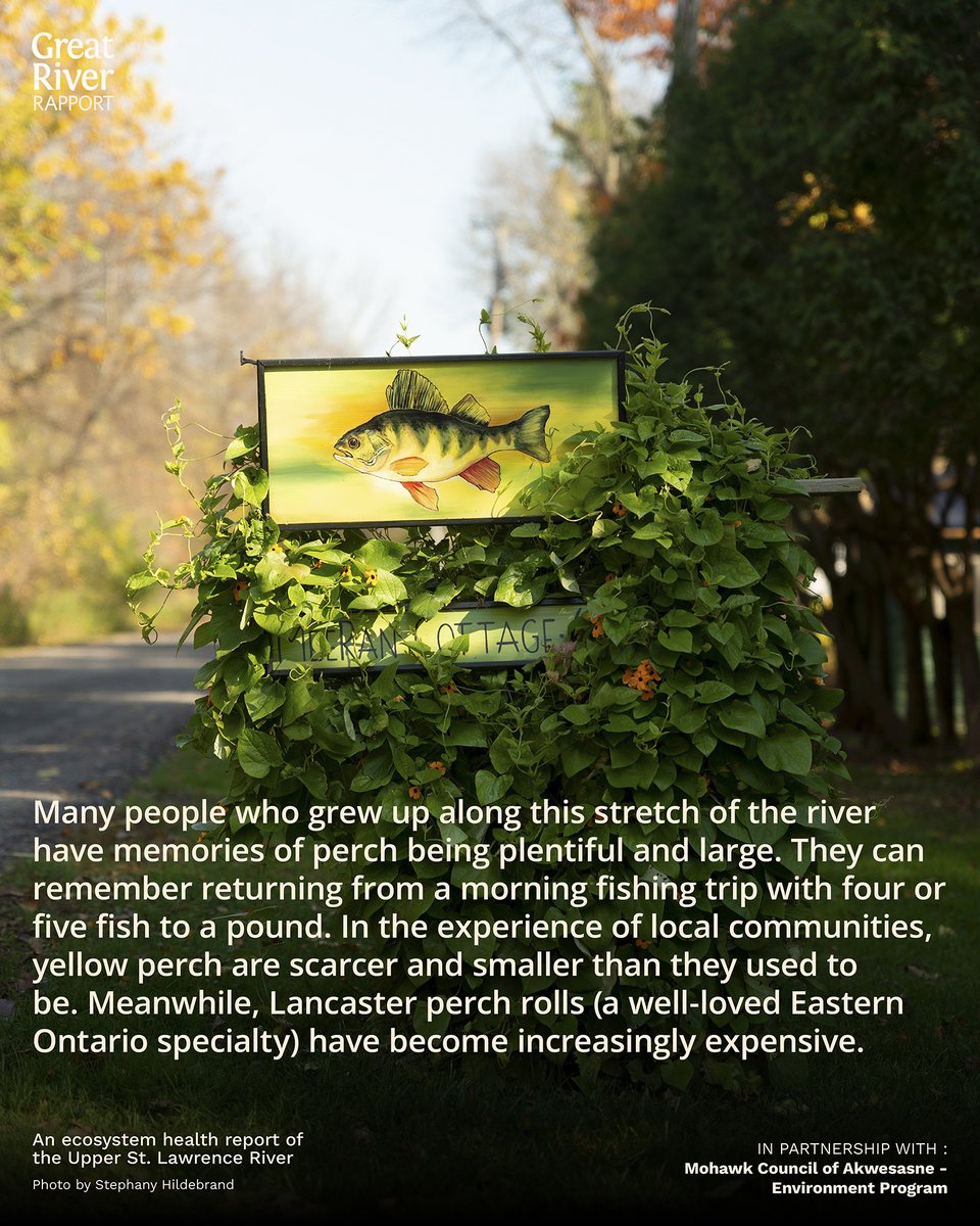 River Institute tweet media