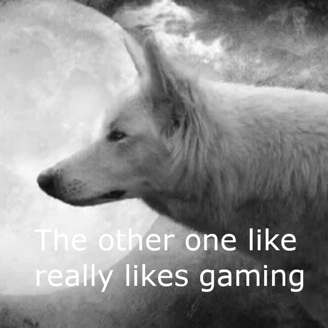 IronsidePC's tweet photo. Inside you there are two wolves. https://t.co/6wrh1Y2QIE
