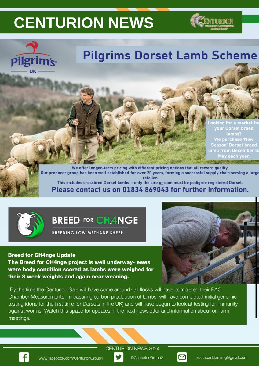 Centurion Dorset Sheep Breeding Group (@centuriongroup2) on Twitter photo Newsletter part 1.
.
.
.
#Sheep #DorsetSheep ##BreedforCH4nge #Farm #Farming #Methane #PerformanceRecordedSheep #Signet #AHDB #Pilgrims #Kivvels
<a href="/KivellsAgri/">Kivells Agriculture</a> <a href="/SamBoonBreeding/">Samuel Boon</a> <a href="/AHDB_BeefLamb/">AHDB Beef & Lamb</a> Newsletter part 1.
.
.
.
#Sheep #DorsetSheep ##BreedforCH4nge #Farm #Farming #Methane #PerformanceRecordedSheep #Signet #AHDB #Pilgrims #Kivvels
<a href="/KivellsAgri/">Kivells Agriculture</a> <a href="/SamBoonBreeding/">Samuel Boon</a> <a href="/AHDB_BeefLamb/">AHDB Beef & Lamb</a>