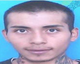 El 19 de mayo de 2023 todo cambió. Cambio de forma salvaje, devastadora, aterradora.

Kevin Alexander Gaibor Buenaño (recuerden este nombre) su cuñado, al enterarse que su novia, ante sus maltratos constantes, le iba a dejar, le advirtió: "si me dejas, te golpearé donde más te