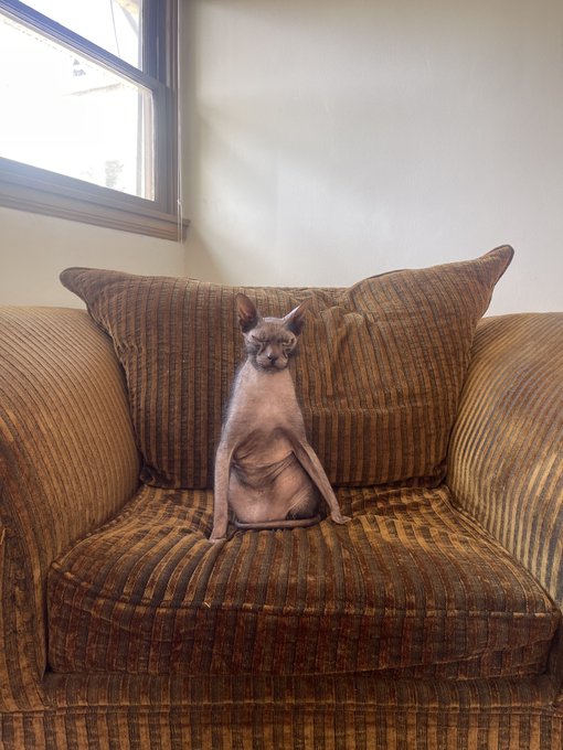 Okay no sitting for me I guess https://t.co/eVhGGaqmX7