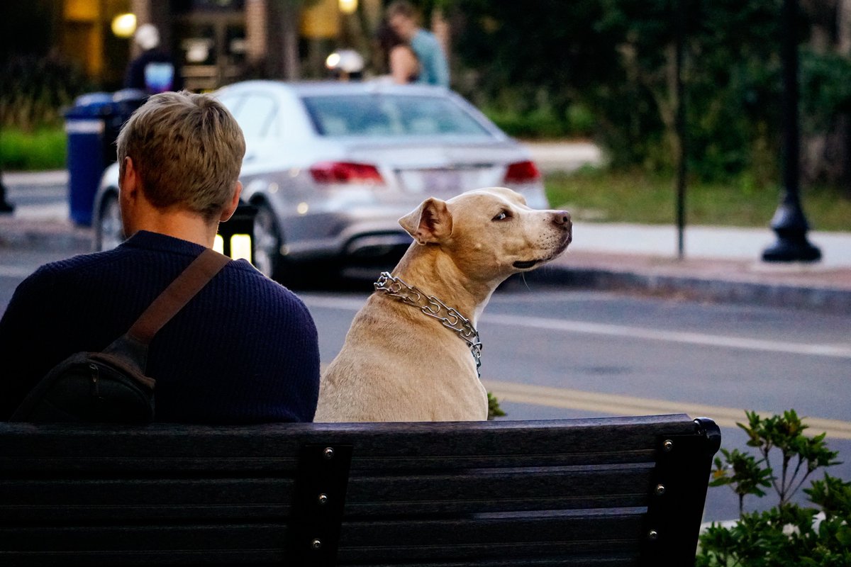 𝐂𝐫𝐚𝐢𝐠 𝐇𝐞𝐰𝐞𝐭𝐭 tweet media