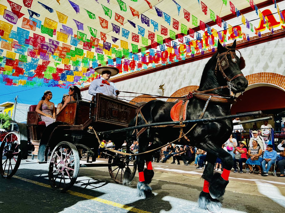 MaricelaSerHdz's tweet photo. #FeriaTecomatlán2024 Es muestra de ejemplo nacional de Unidad entre los pueblos. Los invito a que asistan. Estará hasta el próximo 18 de febrero. https://t.co/8bpdObu8AK