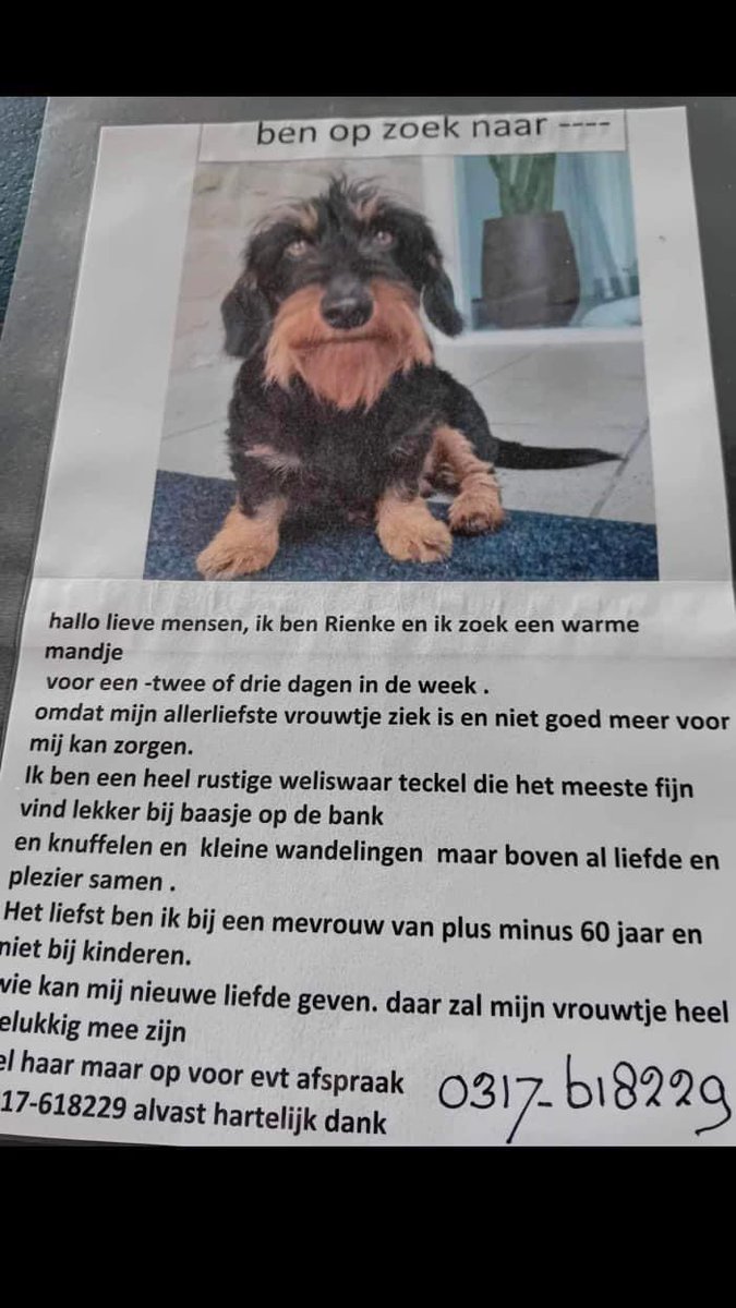 Lieve mensen zouden jullie dit bericht willen delen 😘 voor iemand die ziek is  , woonplaats is Rhenen . Dankjewel! #Rhenen #gezocht lief huisje voor deze teckel