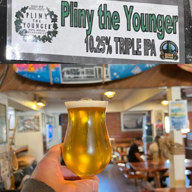 Pliny the Younger tweet media