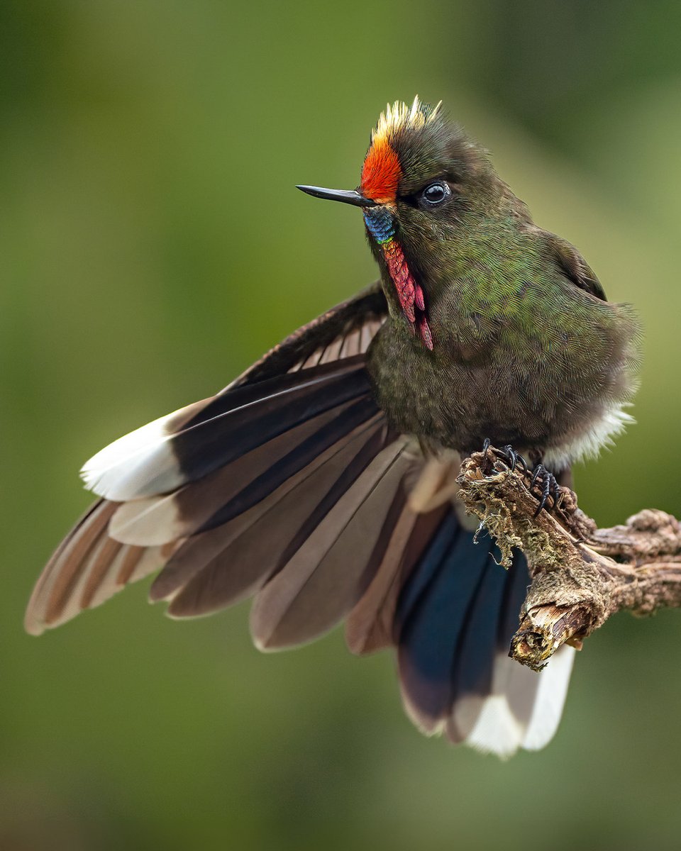 KeepingNatureCo tweet picture