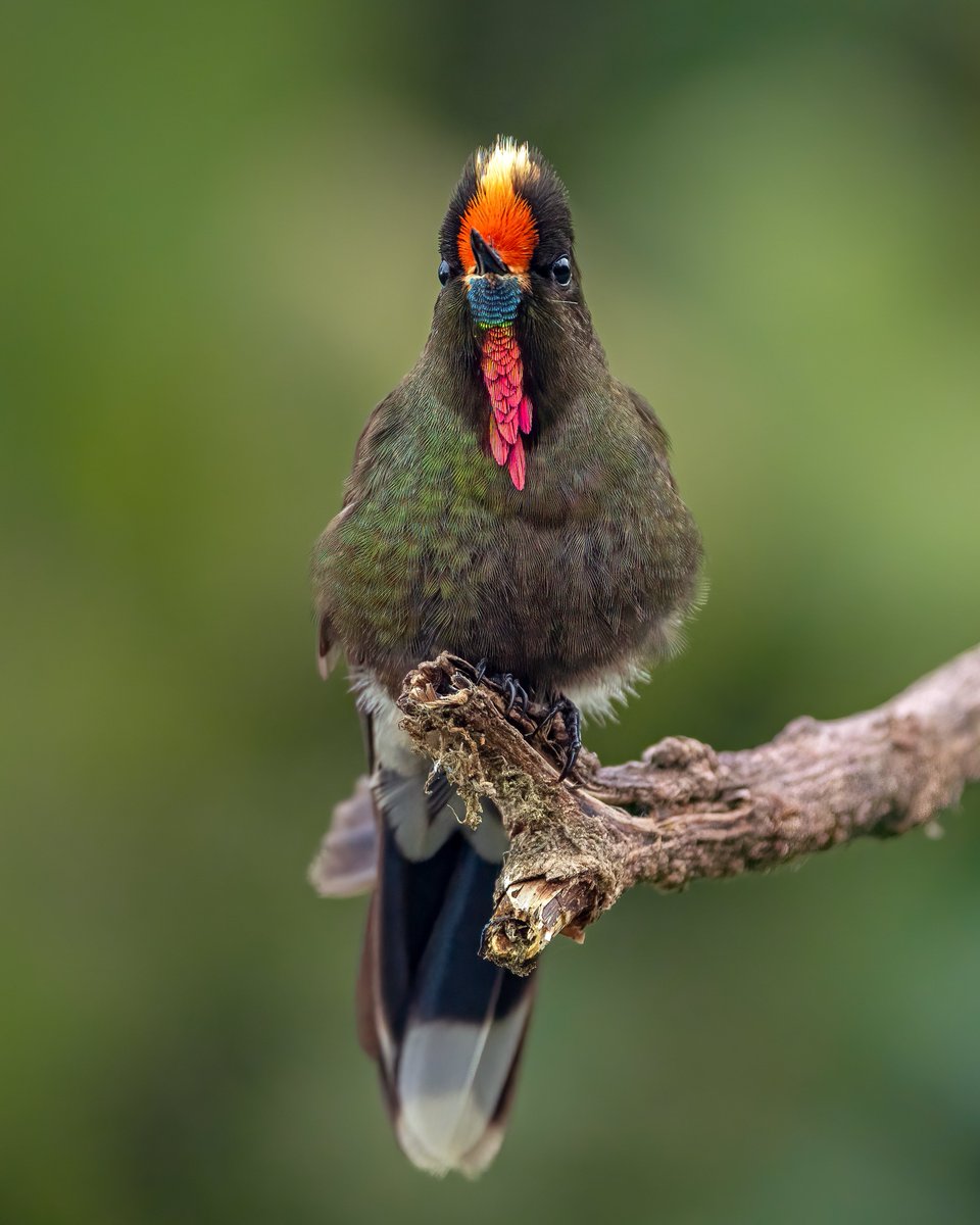 KeepingNatureCo tweet picture