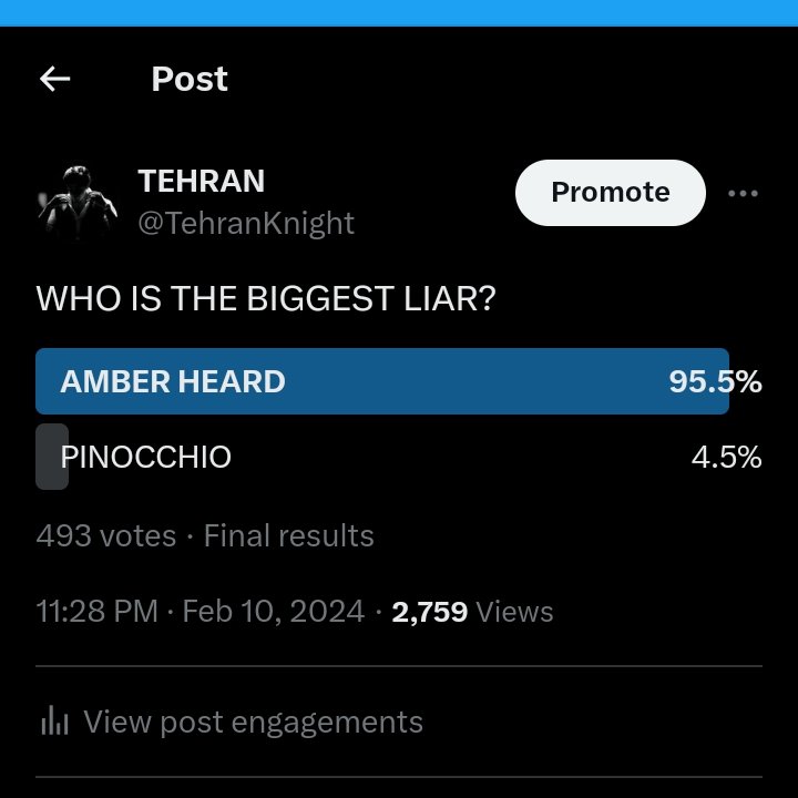 TehranKnight's tweet photo. CONGRATULATIONS TO AMBER HEARD FOR BEATING PINOCCHIO AS THE BIGGEST LIAR👏🍾🏆. https://t.co/UFIiJkjnUu