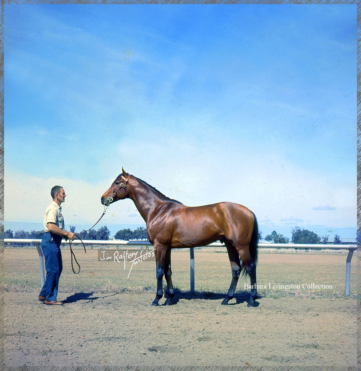 DRFLivingston's tweet photo. DR. FAGER, photographed at Tartan Farms in February 1969 by Jim #RafteryTurfotos 

How great was this horse. 😍 https://t.co/5lLKBdnuvw