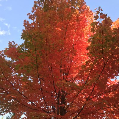 #NewProfilePic