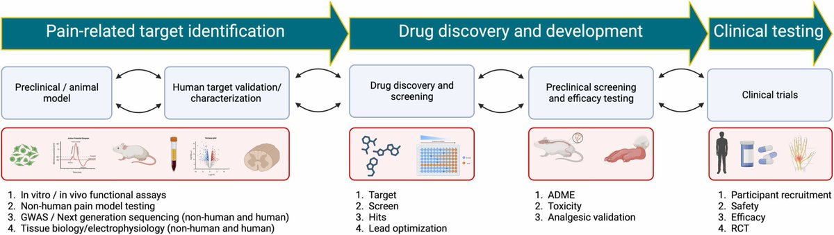 Amazing <a href="/IUPHAR/">IUPHAR</a> review on inflammatory and neuropathic pain models provided by <a href="/_ljmartin/">Loren Martin</a> and colaborators: authors.elsevier.com/sd/article/S10…
#inflammation #neuropathicpain #PharmacolRes #openaccess #Research #PharmaTwitter #MedTwitter