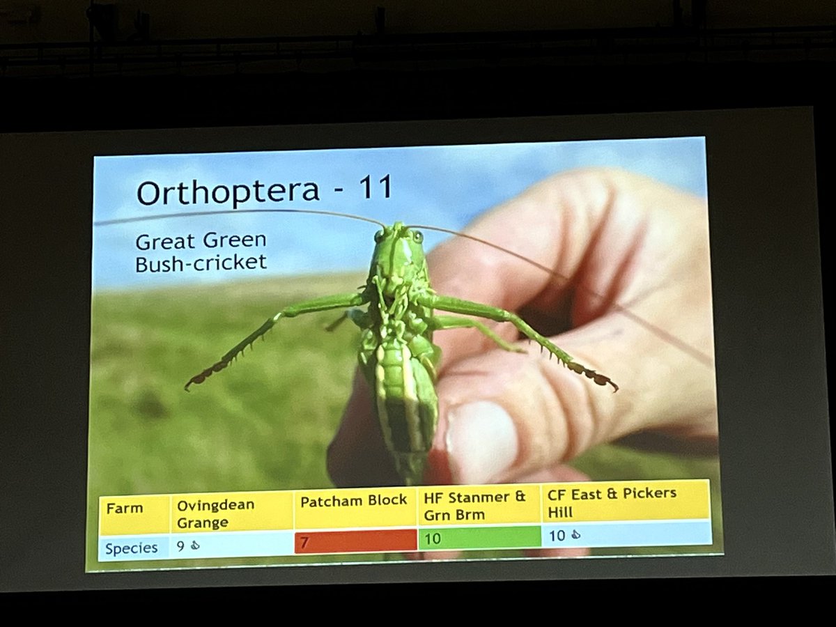 TwigsOf's tweet photo. Laughton Greenwood was at the Sussex Biological Recorders Seminar in Haywards Heath last Saturday, with over 250 naturalists attending and some great wildlife presentations. We  look forward to future surveys! For more info on Laughton Greenwood see https://t.co/AxkwA0GKo2 https://t.co/kqax1RTVqu