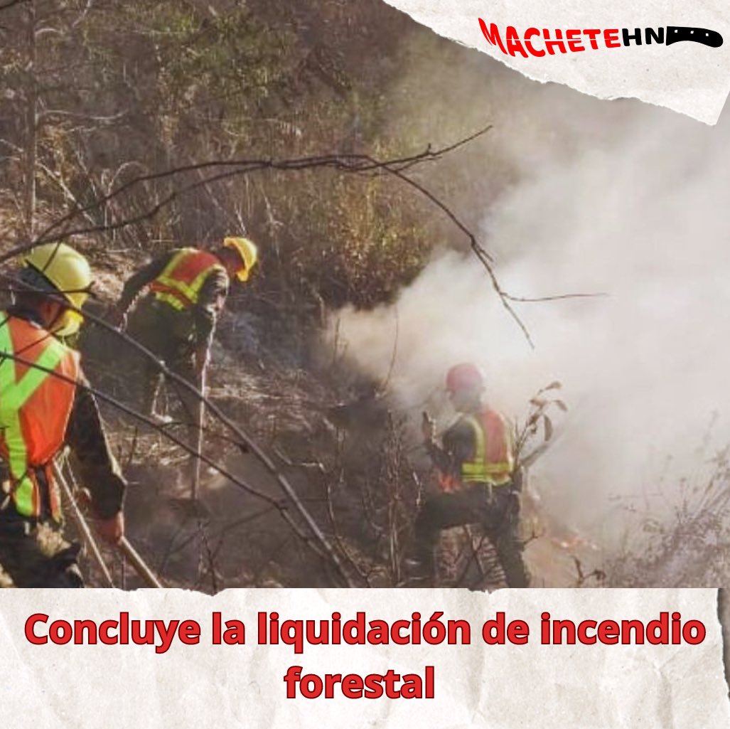 machetehn2009's tweet photo. Hemos concluido con la liquidación del incendio forestal en La Canaan. Luego de una jornada extensa, se Hemos concluido con la liquidación del incendio forestal en La Canaan.
#nomasincendiosforestales #cuidalosbosques https://t.co/FjpJOXZqMb