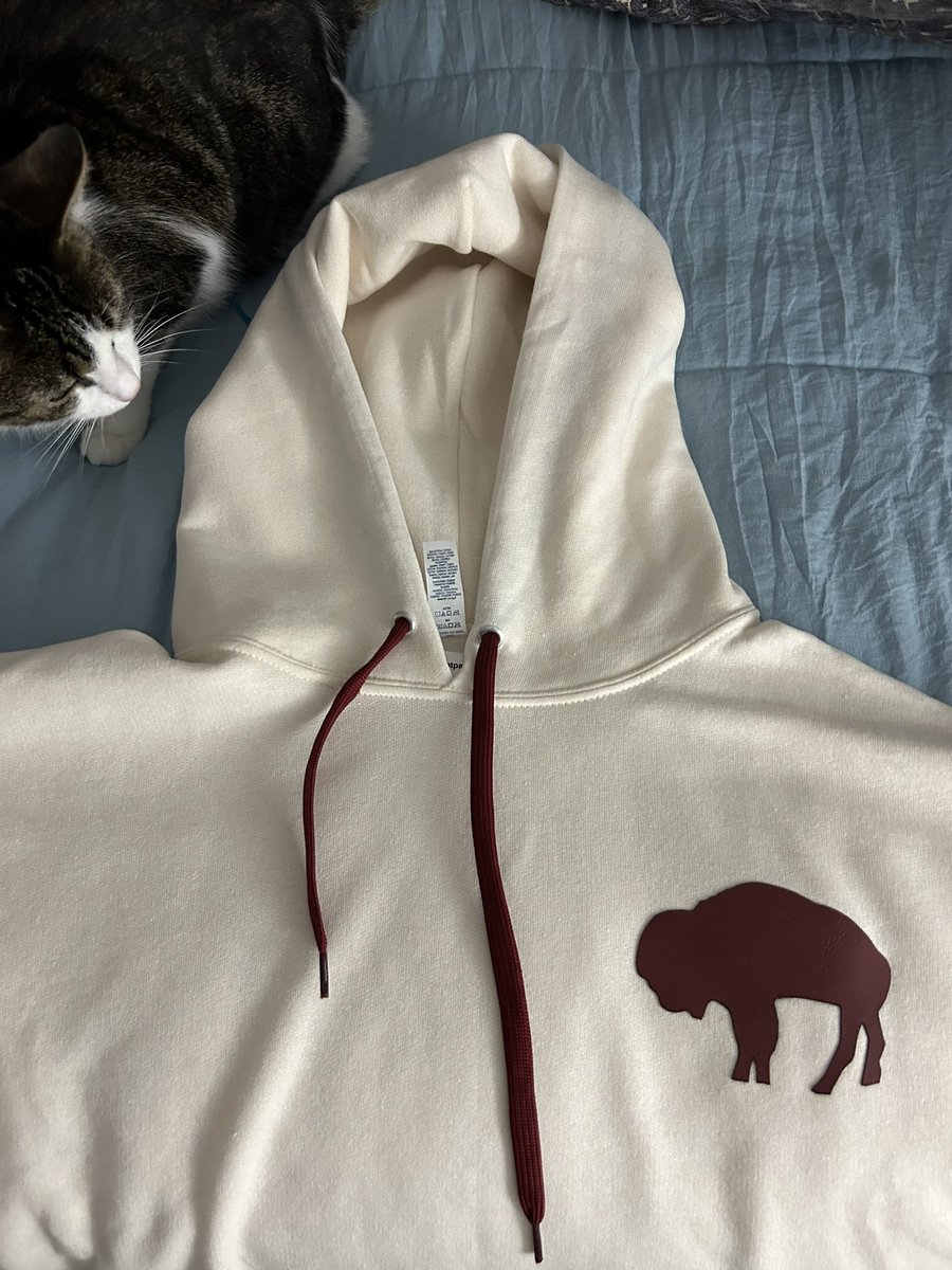 SpencerGilb's tweet photo. @716Transplant Had to do it—Luna was enticed by the string https://t.co/55QHiHfpkn