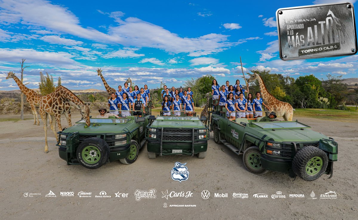 ClubPueblaFem's tweet photo. Nuestras Enfranjadas tienen algo en común con las jirafas: ¡Todas estamos Apuntando a lo más alto!🔝

¡Esta es la foto oficial del 🔵⚪️ junto a @AfricamSafari y su santuario de 🦒!📸

Dale 🔁 porque en el CL2️⃣4️⃣ #LoÚnicoQueNecesitasEsLaFranja🎽 https://t.co/cMtUUaWTVA