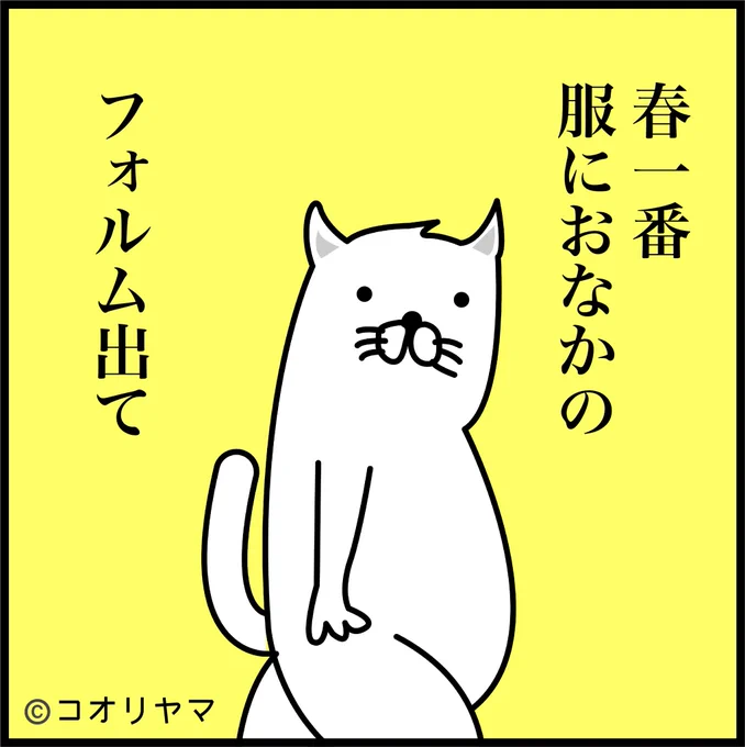 風強すぎが話題ですが、フォルムにご注意ください…! 