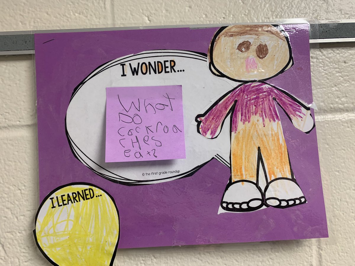 mrsgue1's tweet photo. First grade Wonder Walls always have the best questions! Curiosity+Research=Engagement and Learning! I love it! #HarrisHappenings #1GC @HarrisElem_Prin https://t.co/aeHYpT6LBX