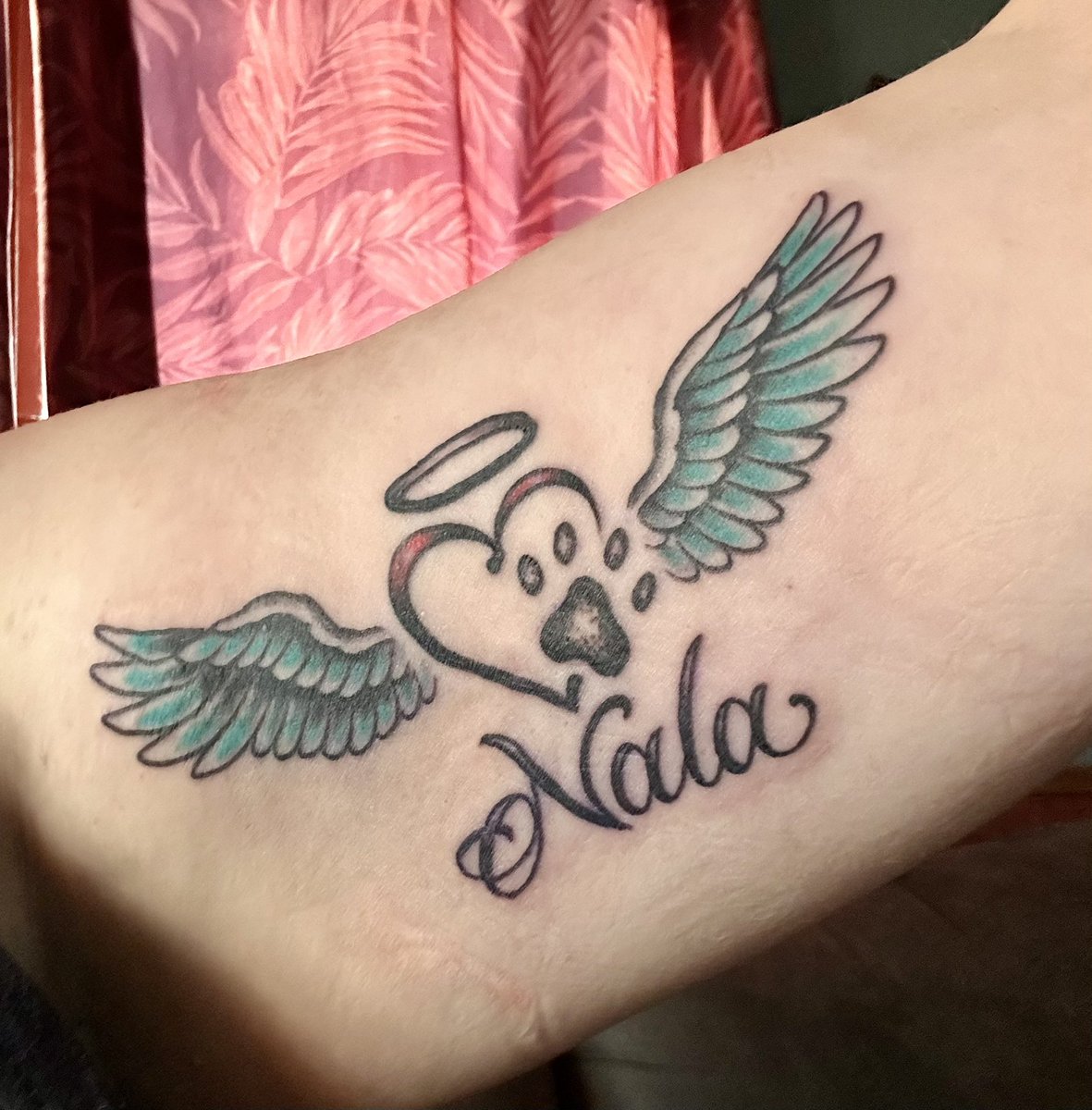 Nalabear39's tweet photo. Yesterday my Nala Bear would’ve turned 13. Today I got this tattoo for her. I miss my best friend so much 🩵 https://t.co/I3dy51PSNL